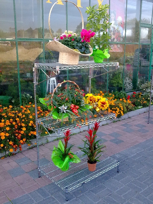 Ultra Power project — Floristics — photo 1