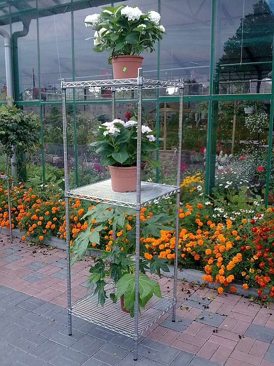Ultra Power project — Floristics — photo 2