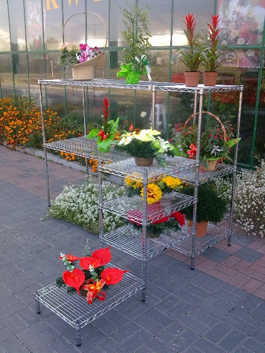 Ultra Power project — Floristics — photo 3