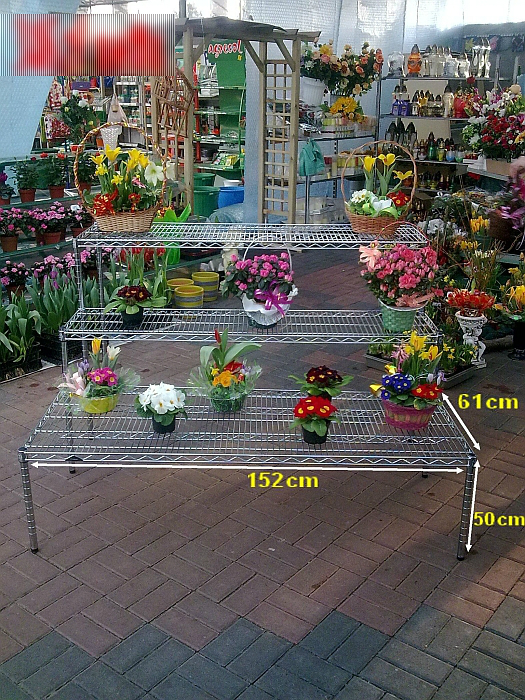 Ultra Power project — Floristics — photo 4