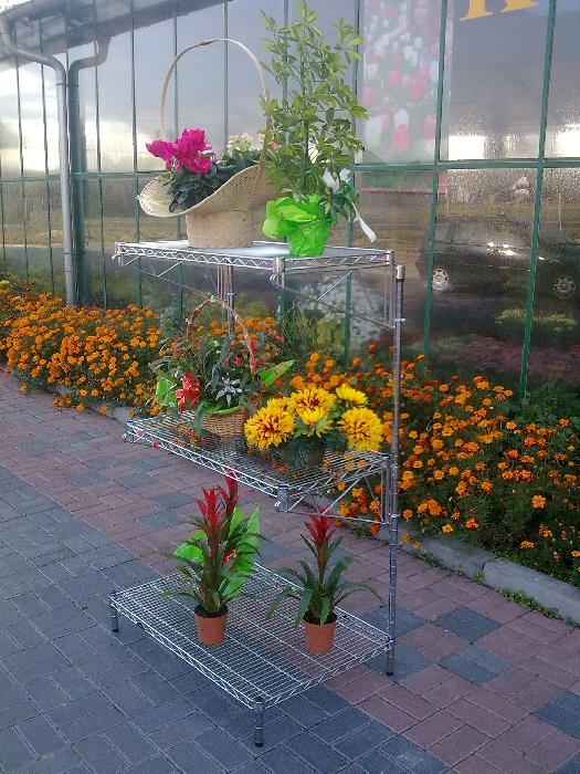 Ultra Power project — Floristics — photo 5