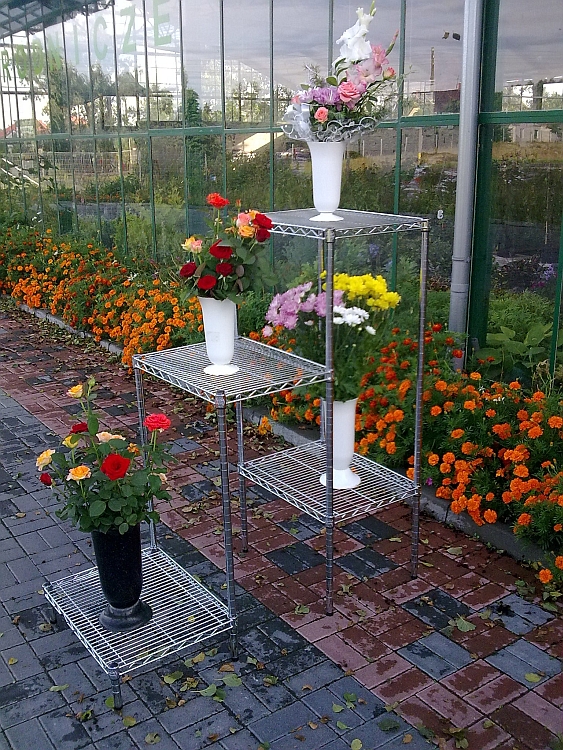 Ultra Power project — Floristics — photo 6