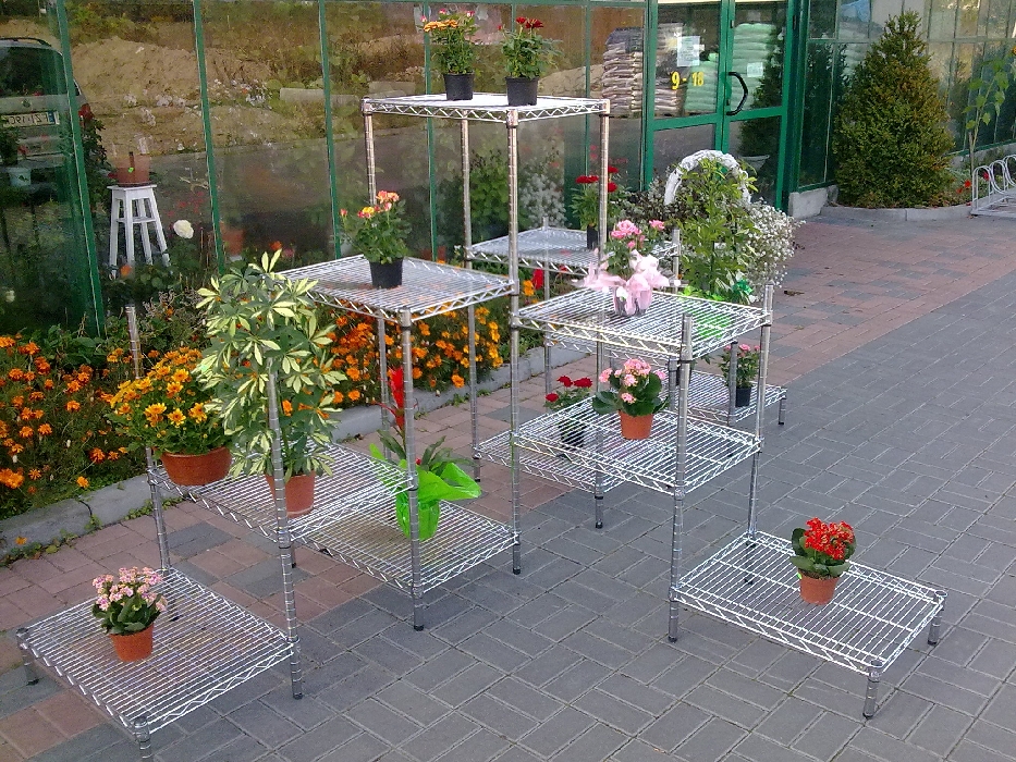 Ultra Power project — Floristics — photo 7
