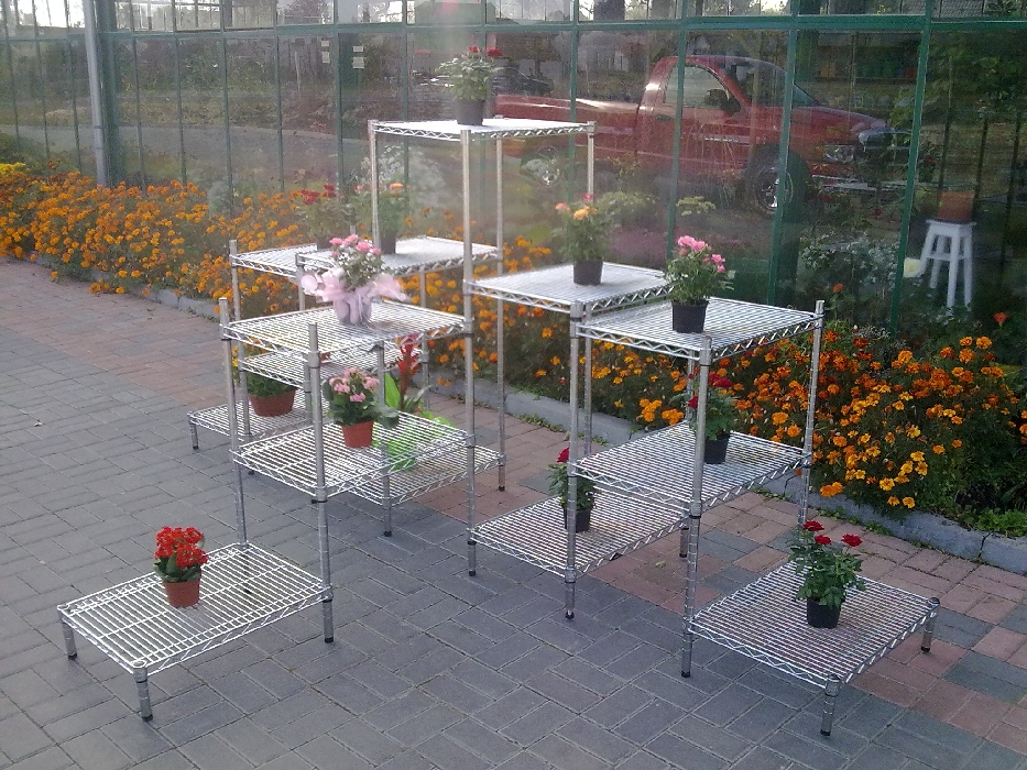 Ultra Power project — Floristics — photo 9