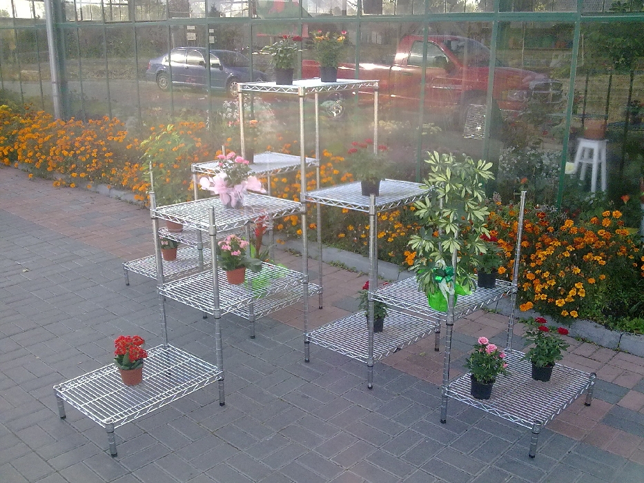 Ultra Power project — Floristics — photo 13