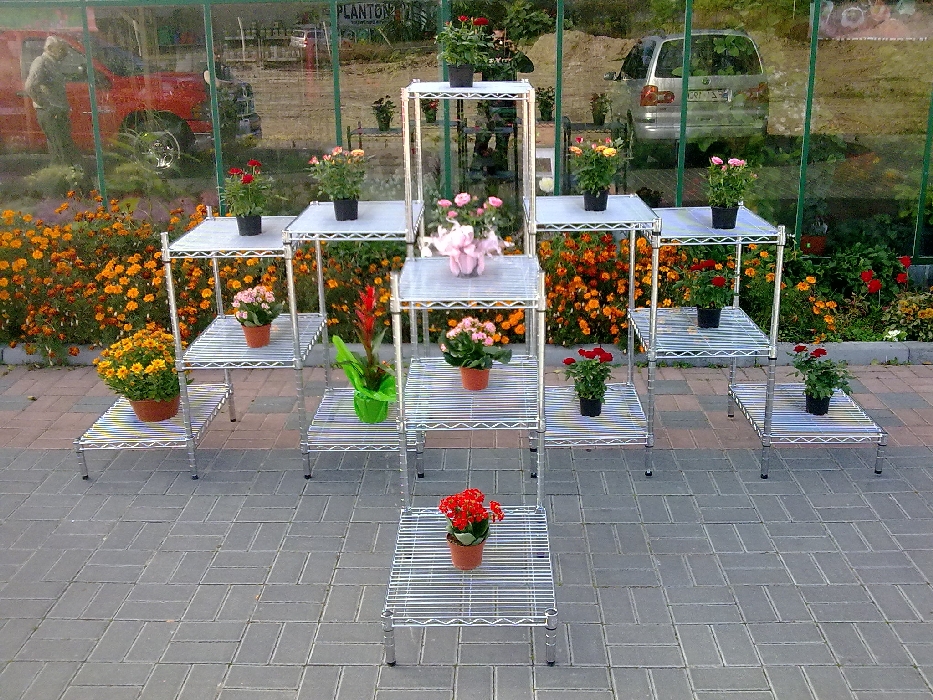 Ultra Power project — Floristics — photo 14