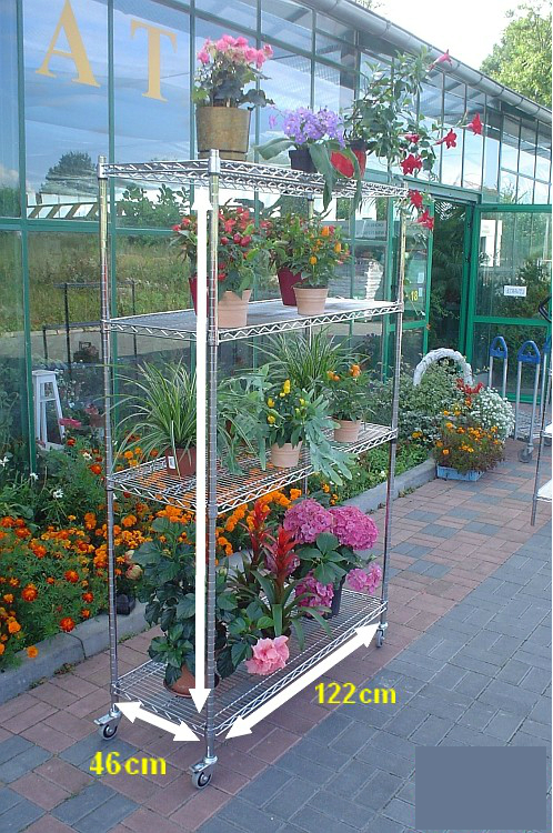 Ultra Power project — Floristics — photo 22