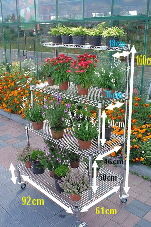 Ultra Power project — Floristics — photo 23