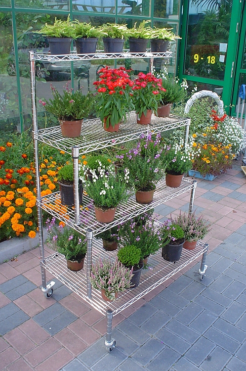 Ultra Power project — Floristics — photo 25