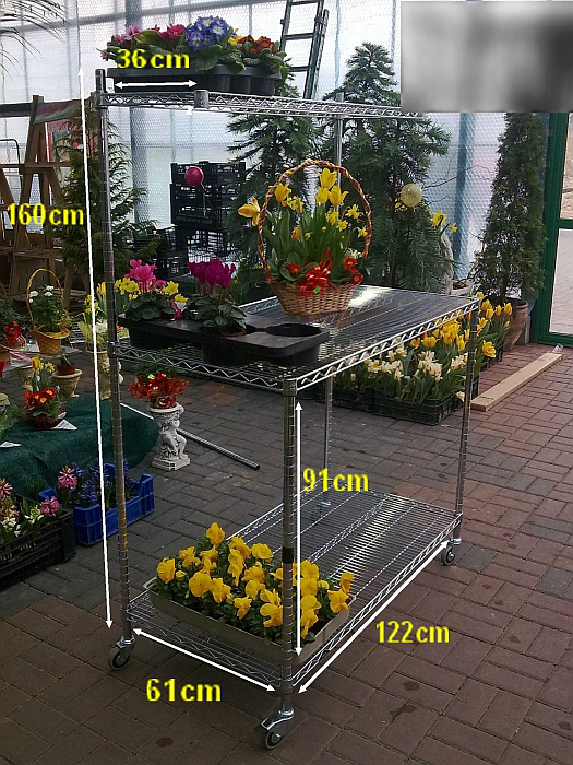 Ultra Power project — Floristics — photo 26