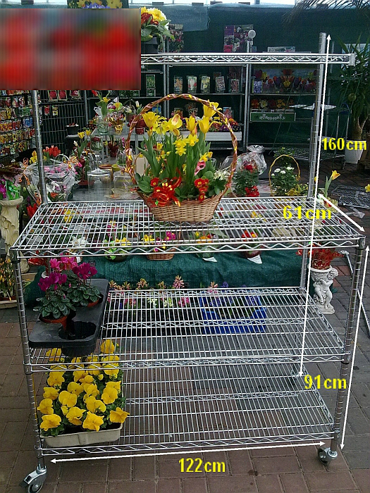 Ultra Power project — Floristics — photo 27