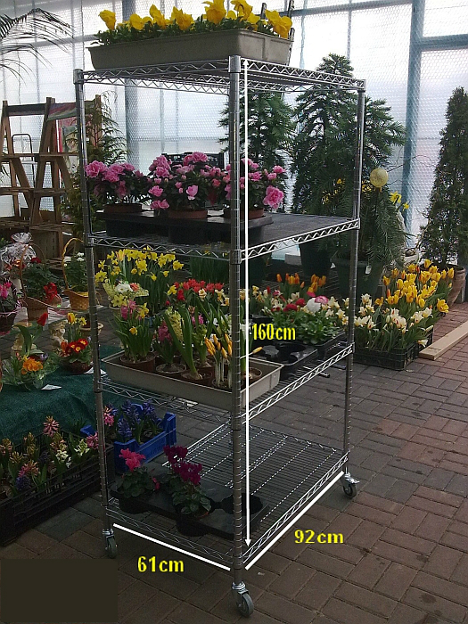 Ultra Power project — Floristics — photo 28