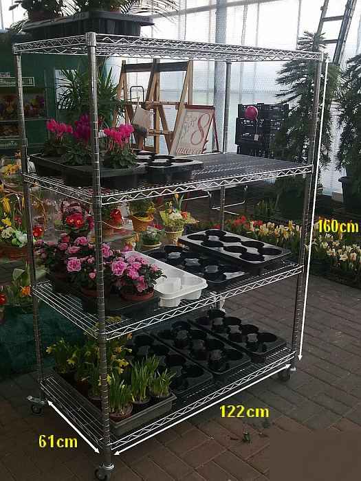 Ultra Power project — Floristics — photo 29
