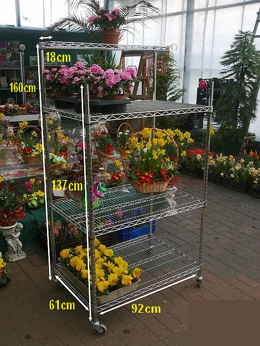 Ultra Power project — Floristics — photo 30