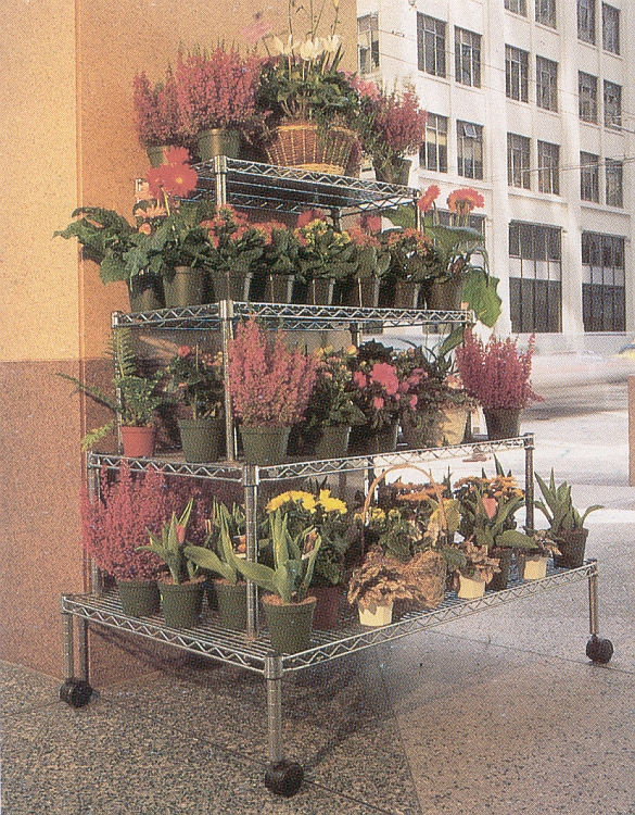 Ultra Power project — Floristics — photo 31