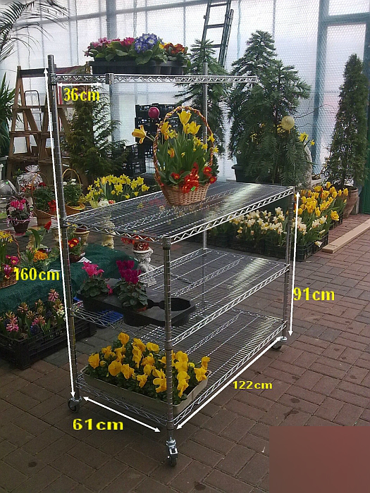 Ultra Power project — Floristics — photo 32